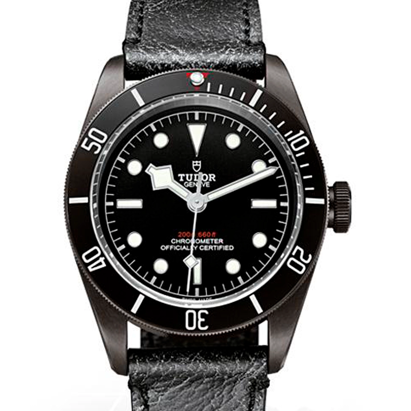 Tudor Black Bay